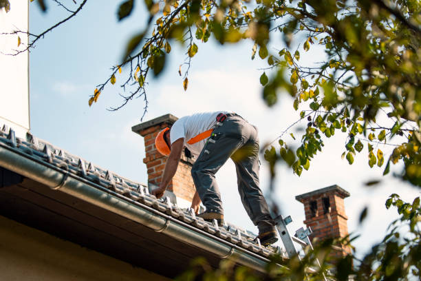 Best Roof Gutter Cleaning  in Seven Oaks, SC